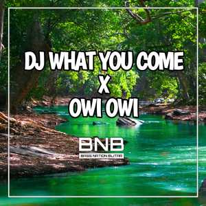 DJ What You Come X Owi Owi