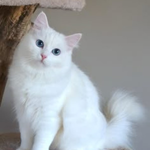 The People that Left a Mark (slowed)