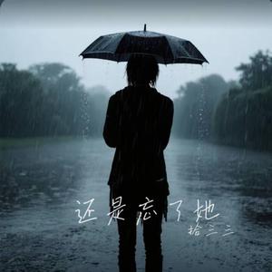 还是忘了她 ｜R&B 抖音歌 完整版｜Forget Her - 拾三三
