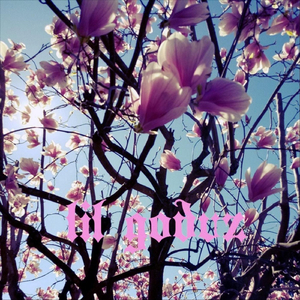 Tu non puoi vedermi più