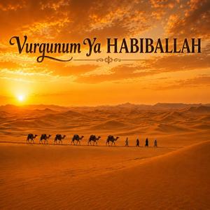Vurgunum ya HABIBALLAH