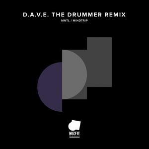 Mindtrip (D.A.V.E. The Drummer Remix)