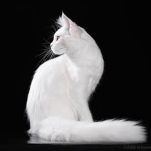 Right For Me (sped up)