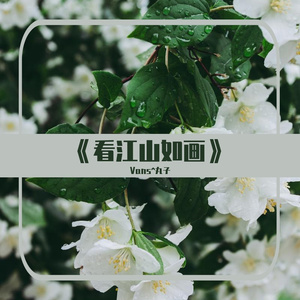 好一朵美丽的茉莉花