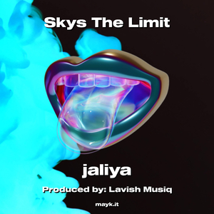 Skys The Limit