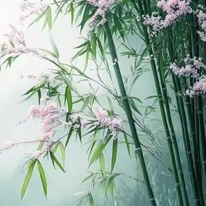 樱花树下