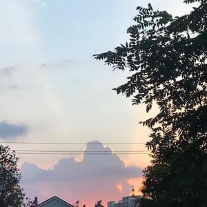 致00后的预防针