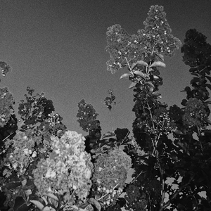 PLEASE DON'T THROW YOUR LOVE AWAY