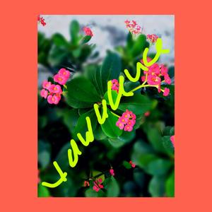 Vawulence