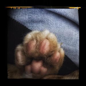 214(prod. by T.A.)