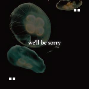 we'll be sorry