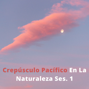 Ruido Blanco Para Edtudiar