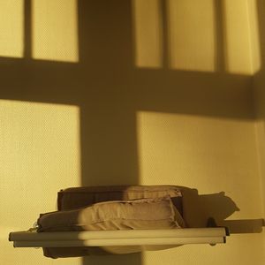 The Dance in Penumbra