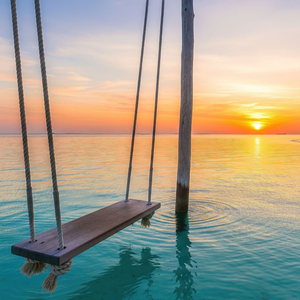 Music for Your Everyday