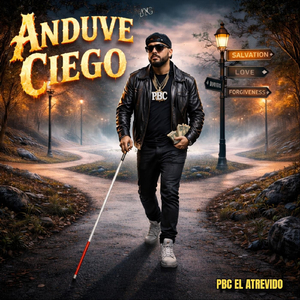 Anduve Ciego