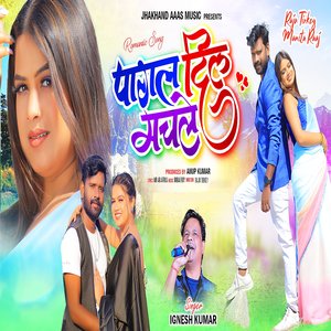 Pagal Dil Machle