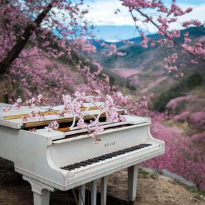 《呼伦贝尔的羊》