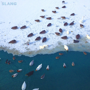 Tune the Old Cow Died Of