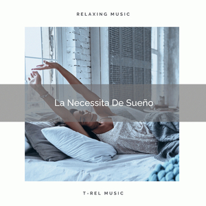 La Necessita De Sueño