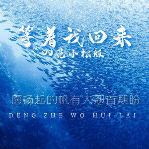 等着我回来 - Dj范小松版