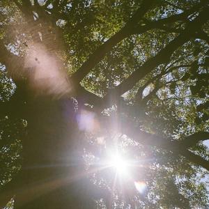 There Goes That Idea