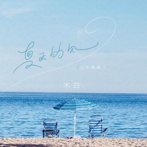 火羊瞌睡了-夏天的风（木白 remix）