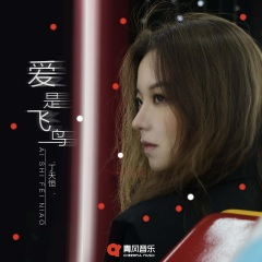 爱是飞鸟