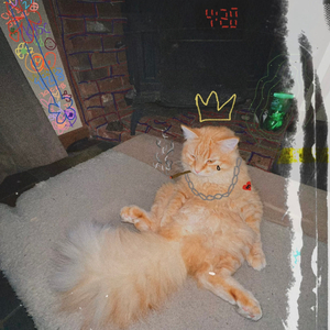 six in the morning (remix)