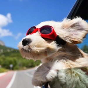 女孩 我的故事因为你而展开(吉他弹唱)