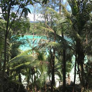 Split (feat. Suno AI assisted audio/vocal)