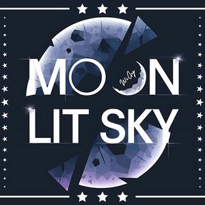 Moon Lit Sky