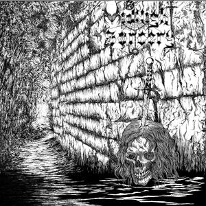 The Light-Devouring Spider