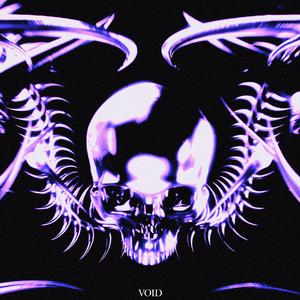 VOID