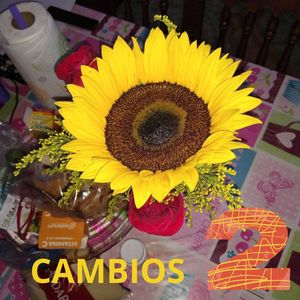 Cambios 2 (Versión instrumental)