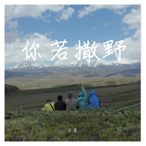 你若撒野（318川藏骑行五周年纪念）