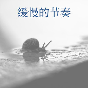 缓慢的节奏
