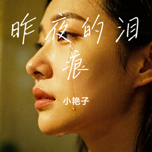 昨夜的泪痕