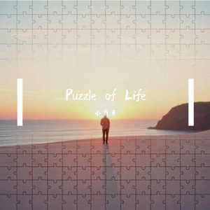 Puzzle of Life
