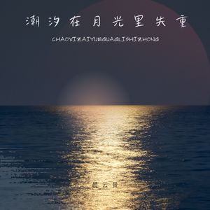 潮汐在月光里失重