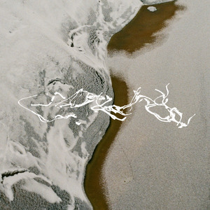 Expander
