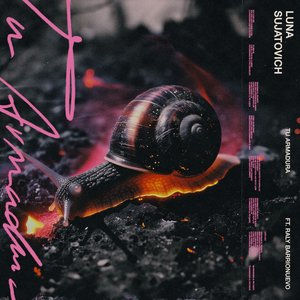 Tu Armadura