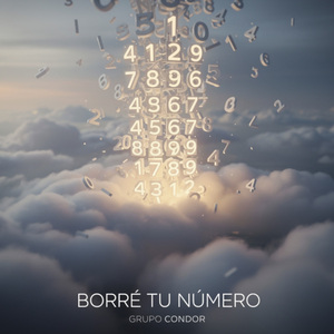 Borre Tu Numero