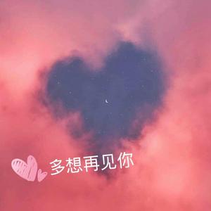 多想再见你