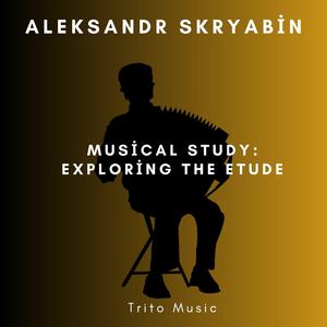 Rhapsody in Rain Accordion