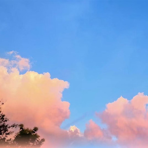 坐在角落的那个女孩