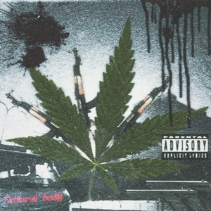 02.The final chapter-Conte