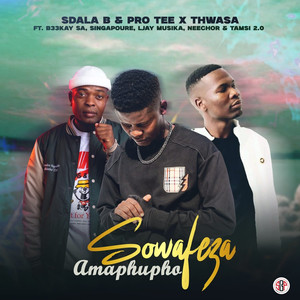 Sowafeza'Amaphupho