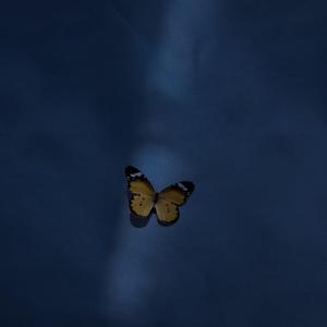 Tiệc Trà Sao (GALABRO Remix)