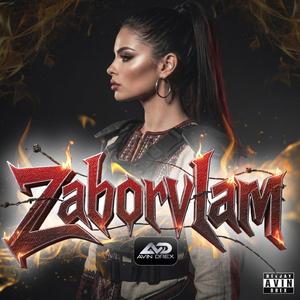 Zaboravljam