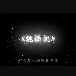 跳楼机 ( baby 我们的感情就像跳楼机 )